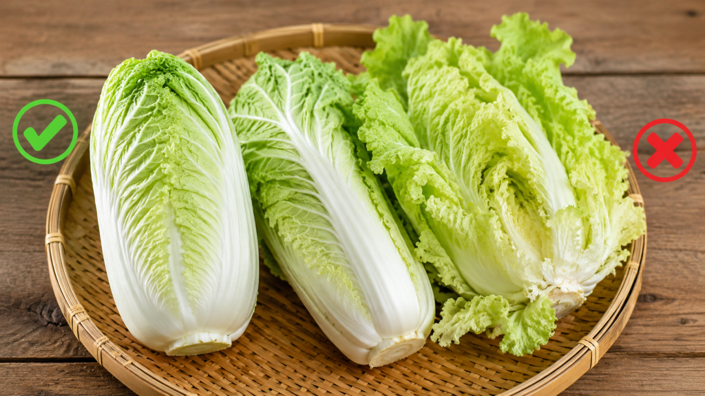 Hai hoặc ba cây cải thảo đặt cạnh nhau trên một cái mẹt tre. Một cây có dáng hình trụ tròn, ngọn khép kín (đánh dấu tích xanh - chuẩn) và một cây dáng xòe, lỏng lẻo (đánh dấu X - không chọn). Điều này giúp người đọc nhận diện ngay lập tức.